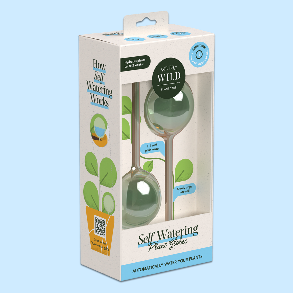 self watering globe plant water bulbs Self-Watering Plant Globes – Hammer + Vine