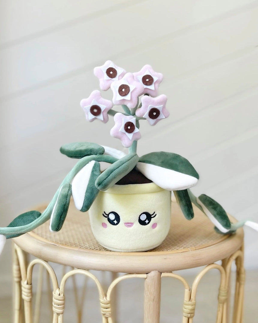 Hoya Carnosa Krimson Queen Plushie