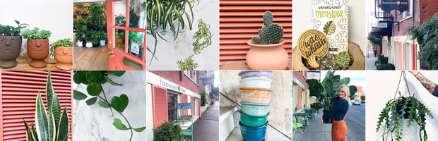 Follow us on Instagram