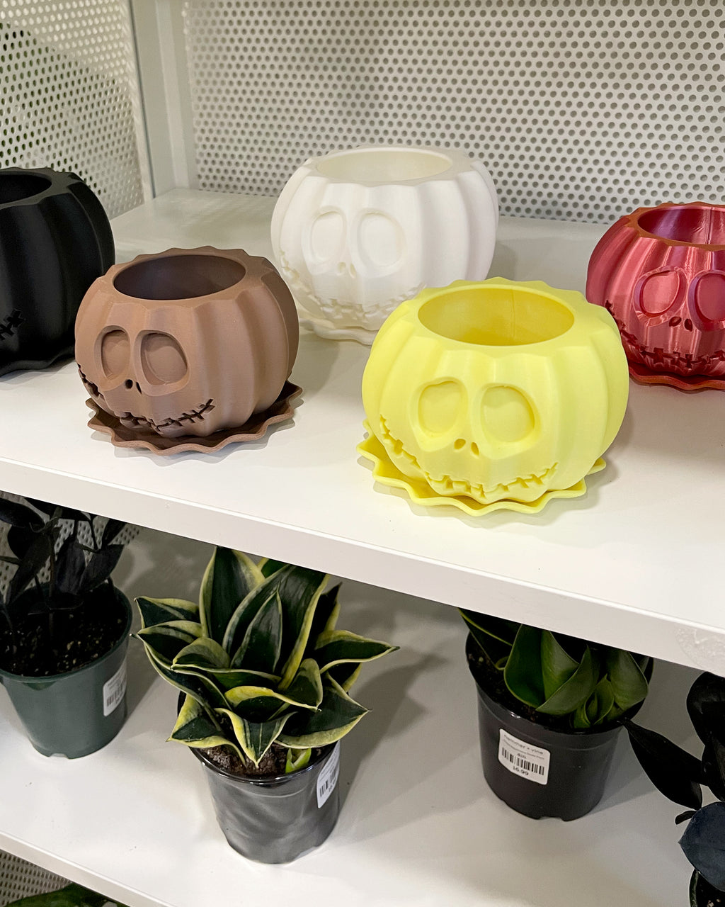 Jack-O-Planter – Hammer + Vine