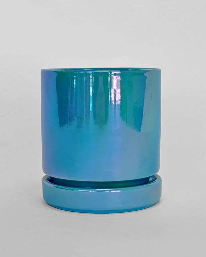 turquoise plastic planter Momma Pots Iridescent Planters – Pink, Green & Blue Pearl