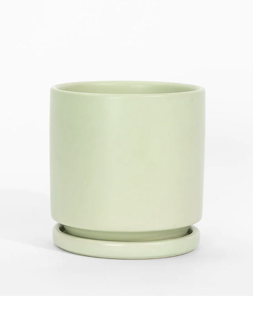 Momma Pots Cylinder – Hammer + Vine