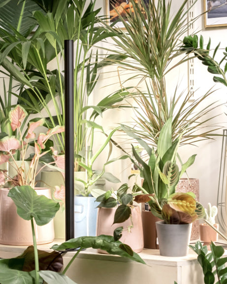 PlantSpectrum - Full Spectrum Grow Light