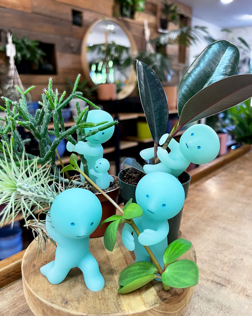 SMISKI - Plant/Toothbrush Holder