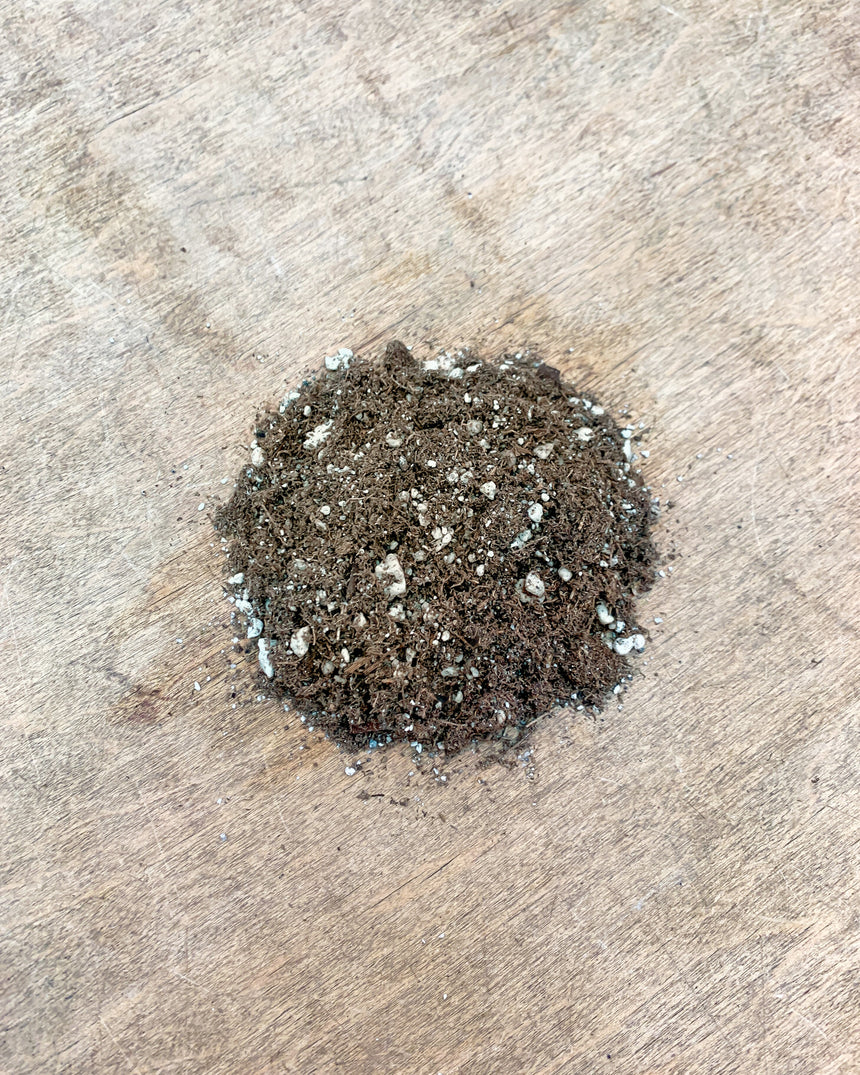 Hand-Mixed Houseplant Soil – 1 Gallon