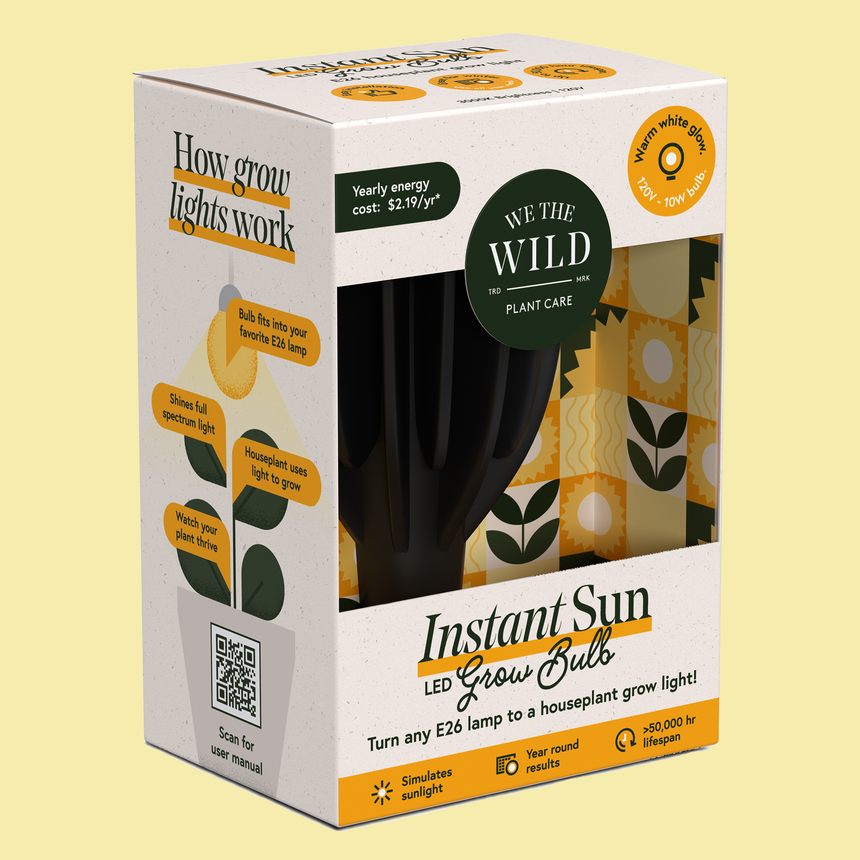 Local Made Ceramic Planters