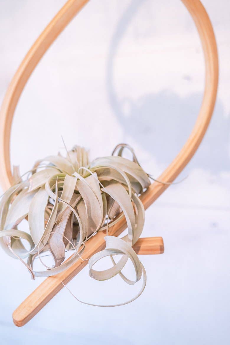 Local Made Ceramic Planters