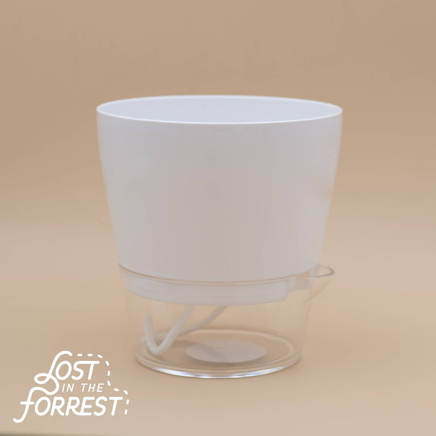 self watering planter 6 inch Padua Self-Watering Planter 6"