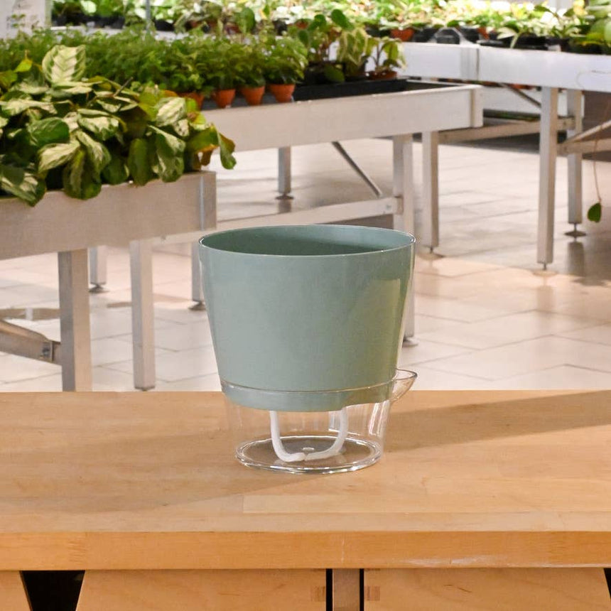 Padua Self-Watering Planter 6"