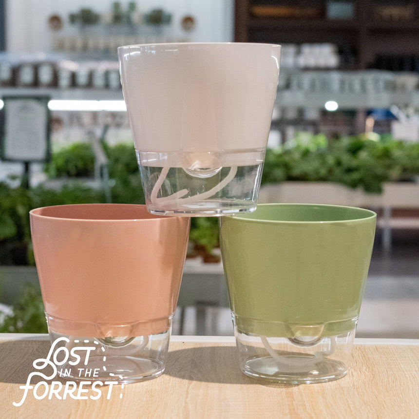 Padua Self-Watering Planter 6"