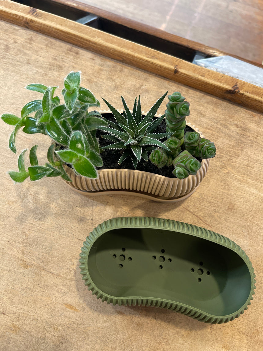 Terra Planter