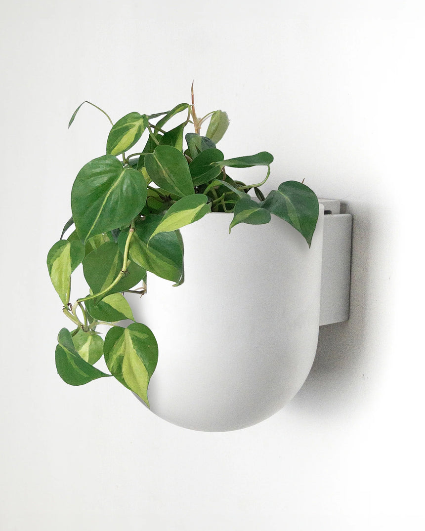 Kanso Wall Mounted Planter