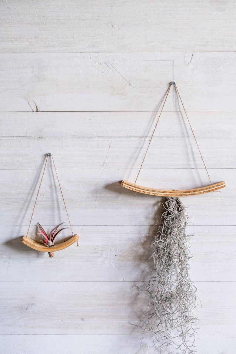 Mini U-Bend Air Plant Hanger