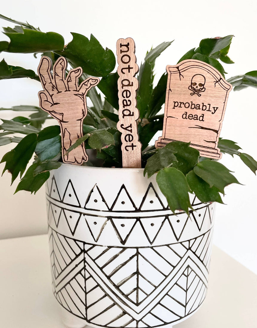 black friday plant pots Spooky Vibes Plant Signs – Hammer + Vine