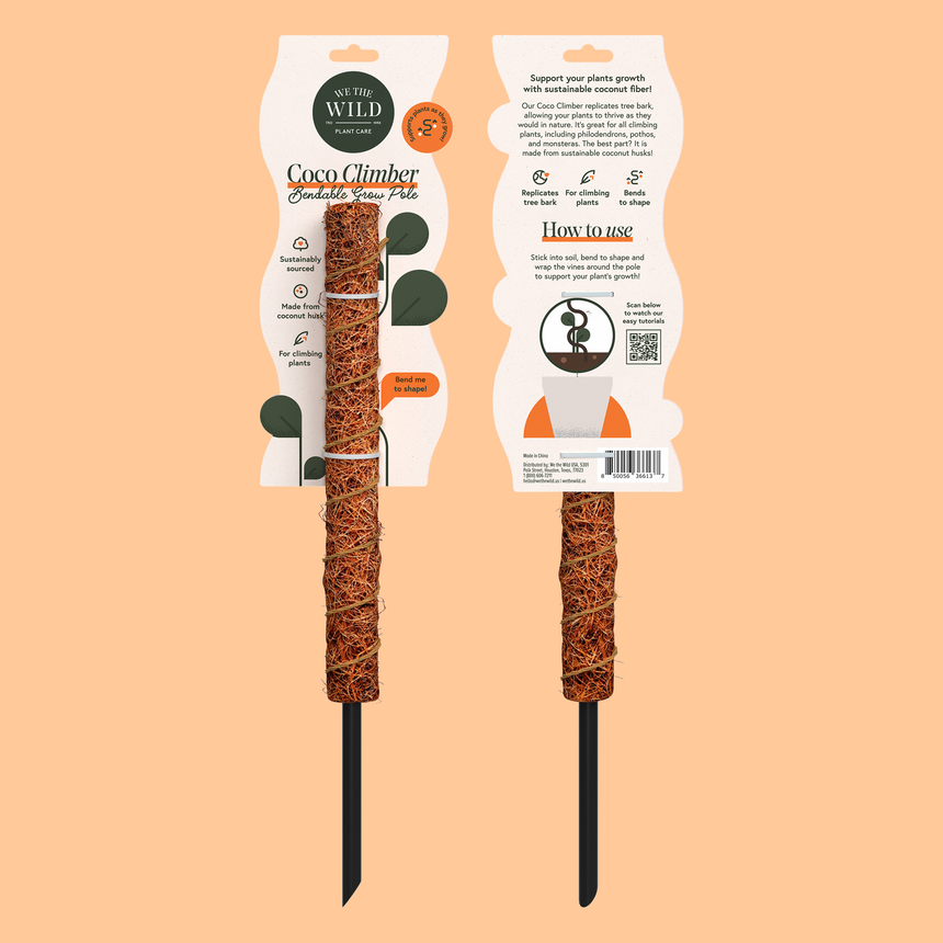 Local Made Ceramic Planters