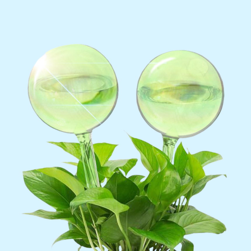self watering plant bulbs We The Wild Self-Watering Plant Globes