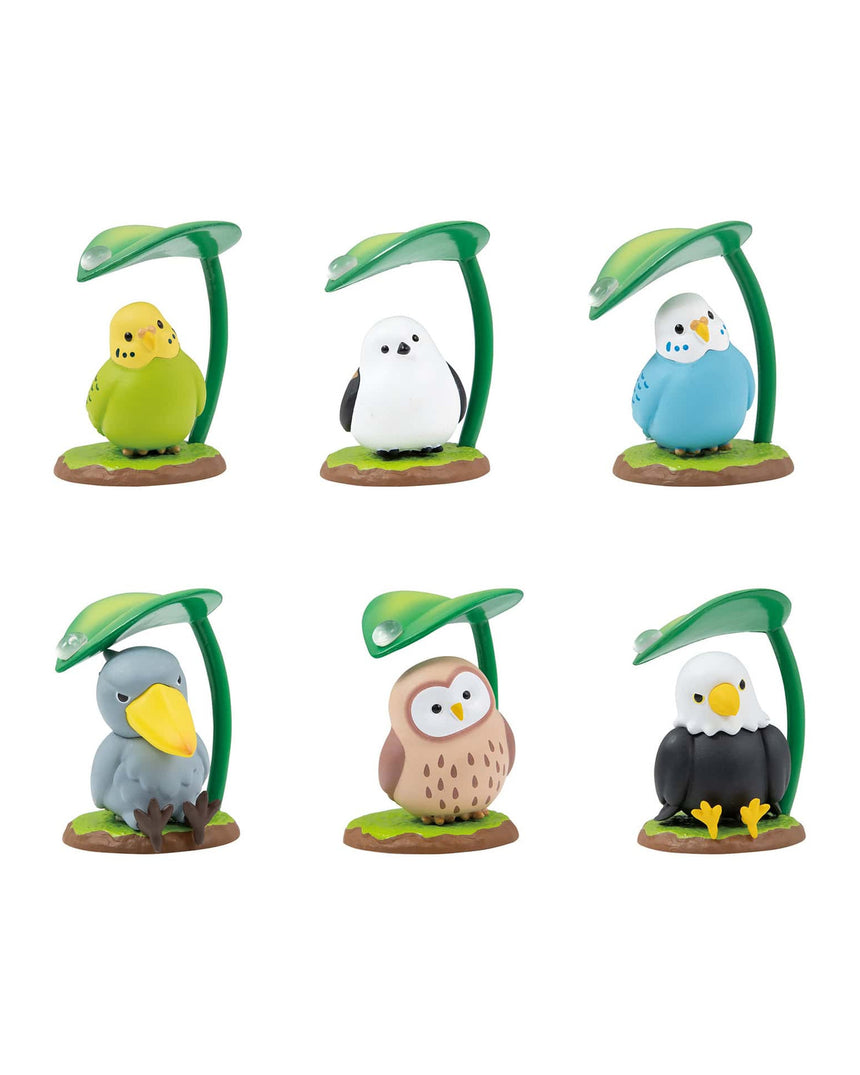 Rainy Day Birds