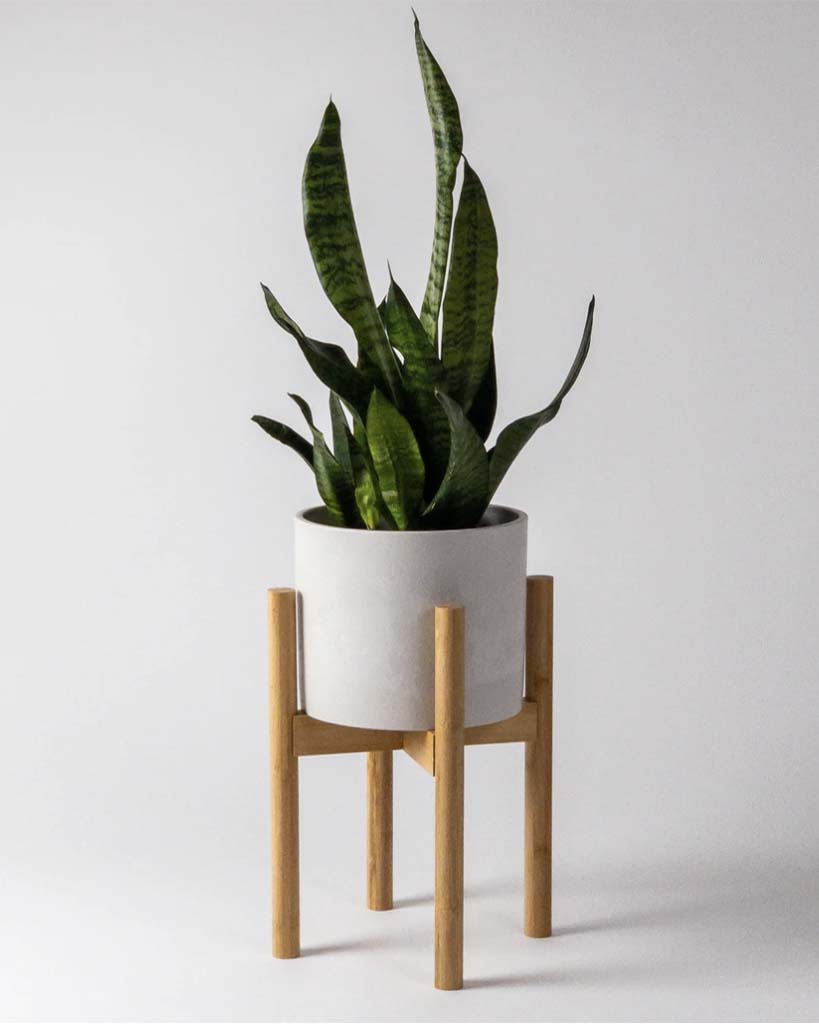 Kanso Adjustable Bamboo Plant Stand